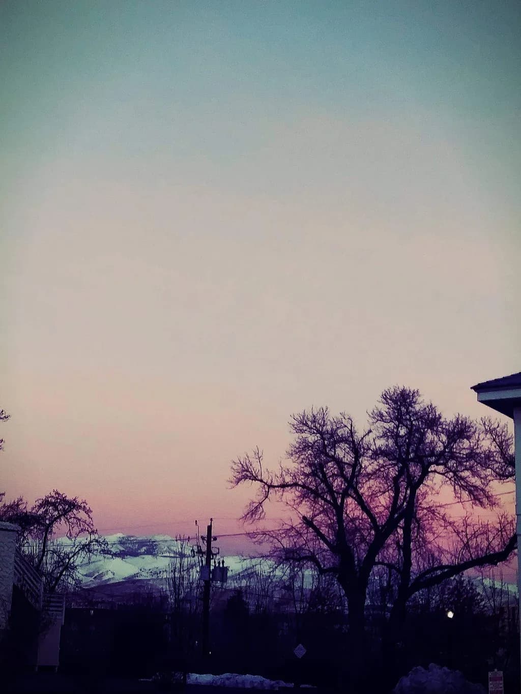 Dawn Silhouettes