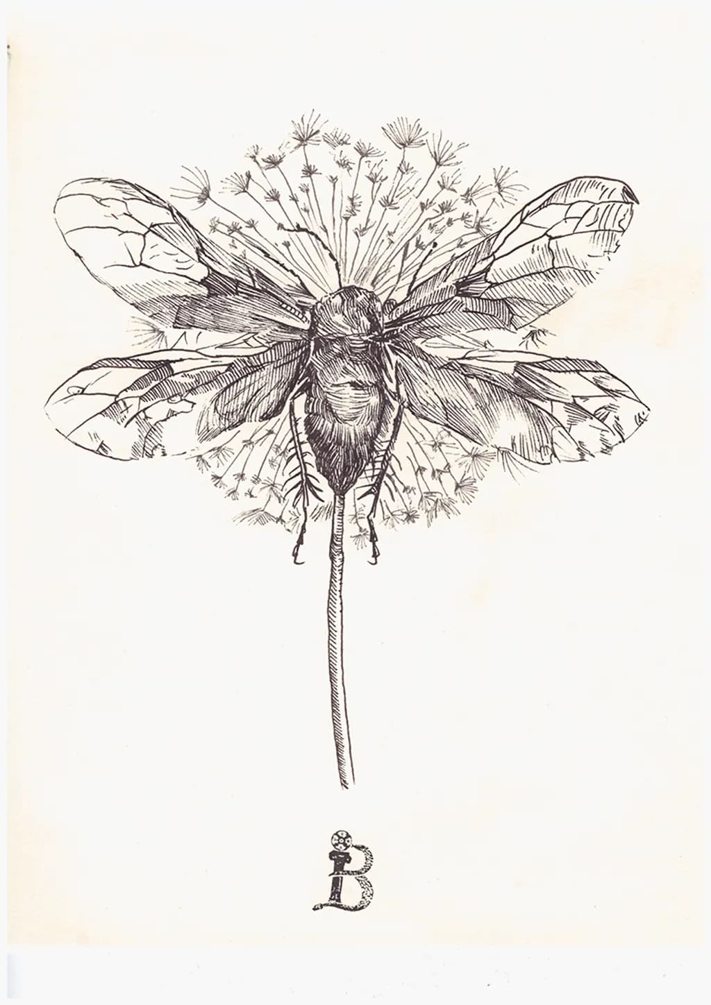 Dandelion Winged Bee