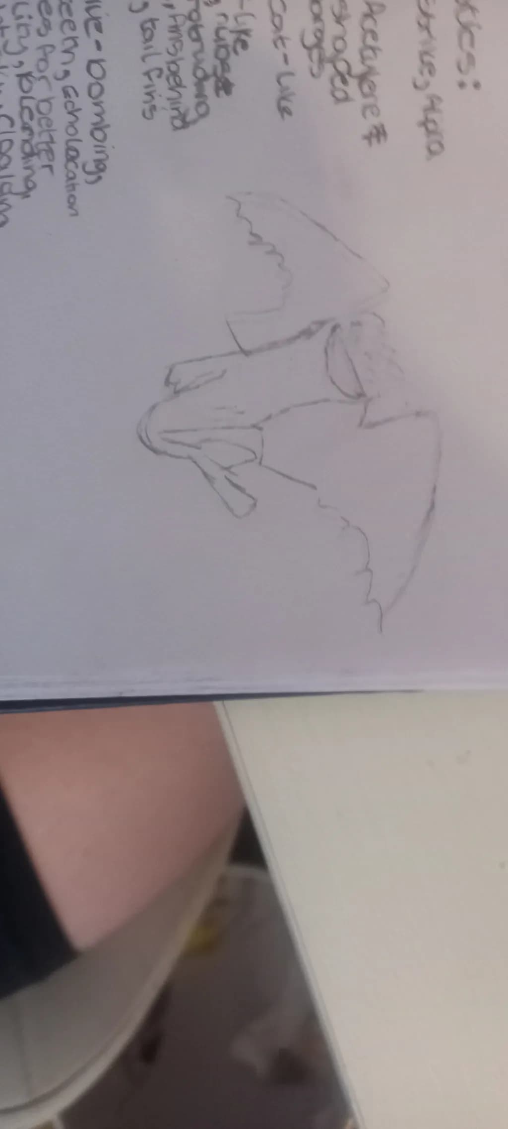 Winged Creature Sketch