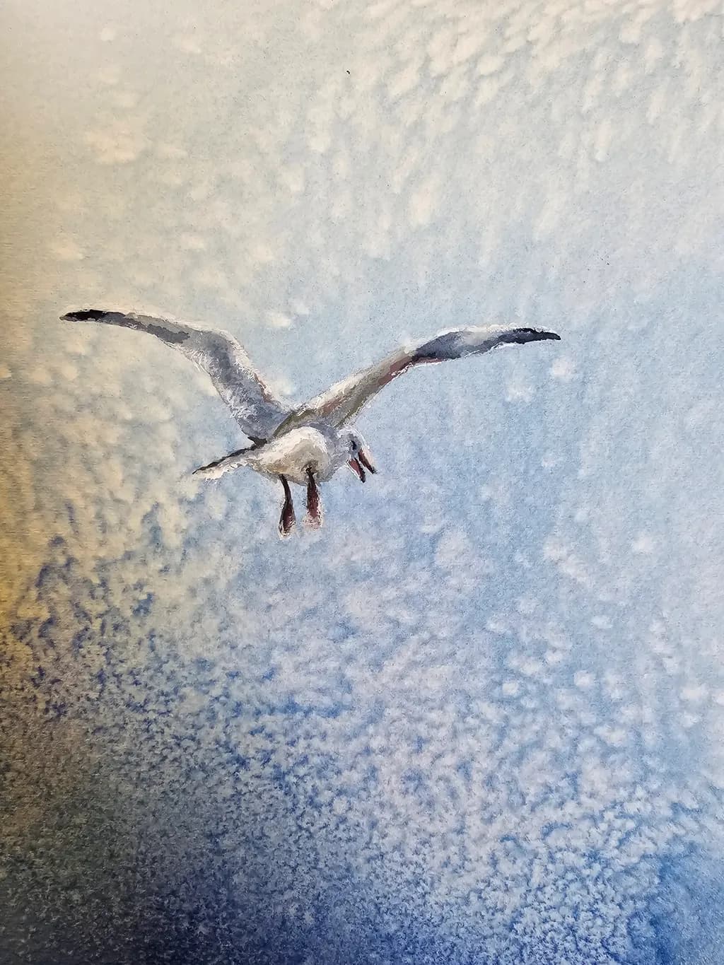 Soaring Solitude