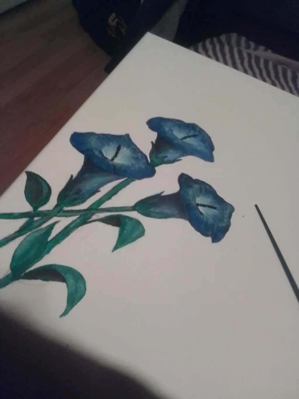 Blue Morning Glories