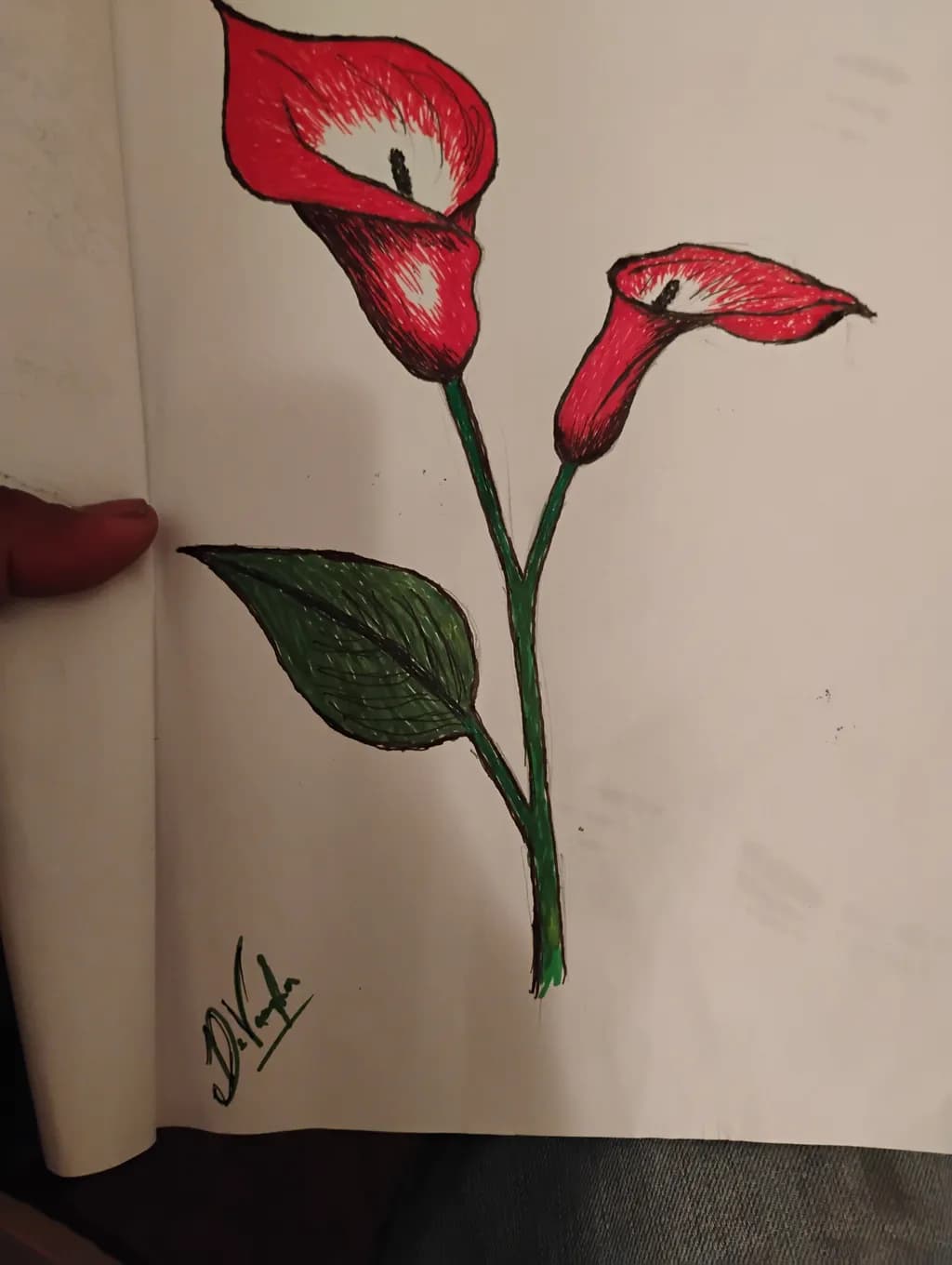 Dual Calla Bloom