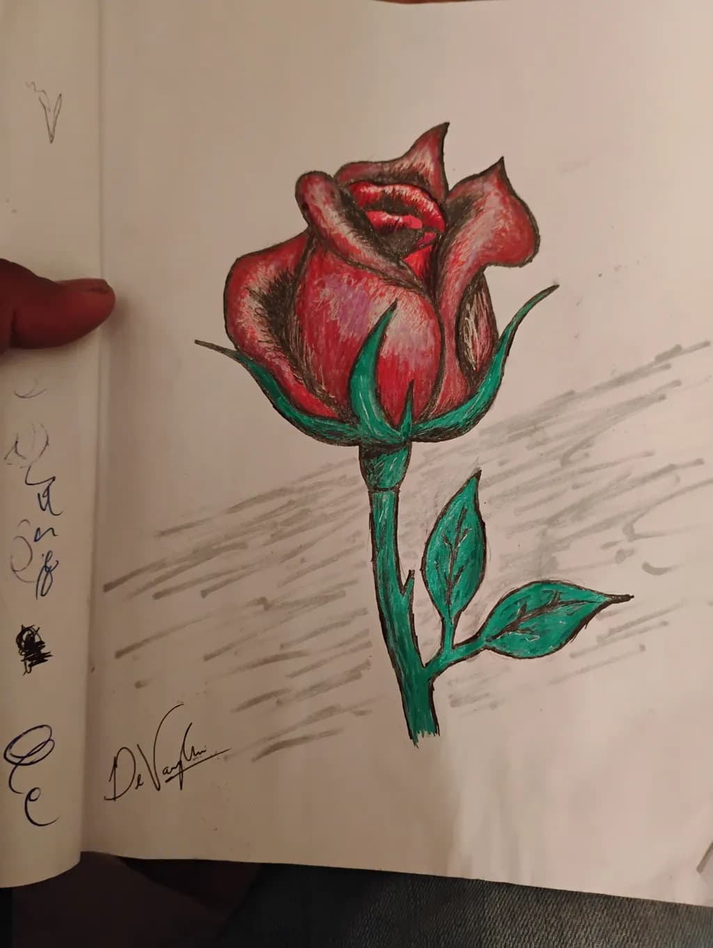 Crimson Bloom