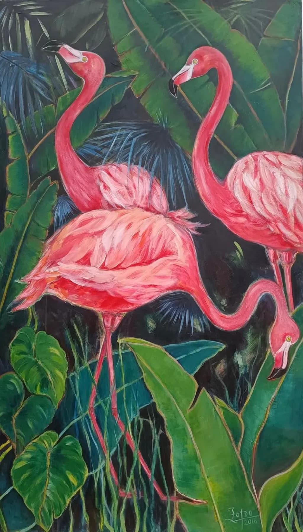 Flamingos