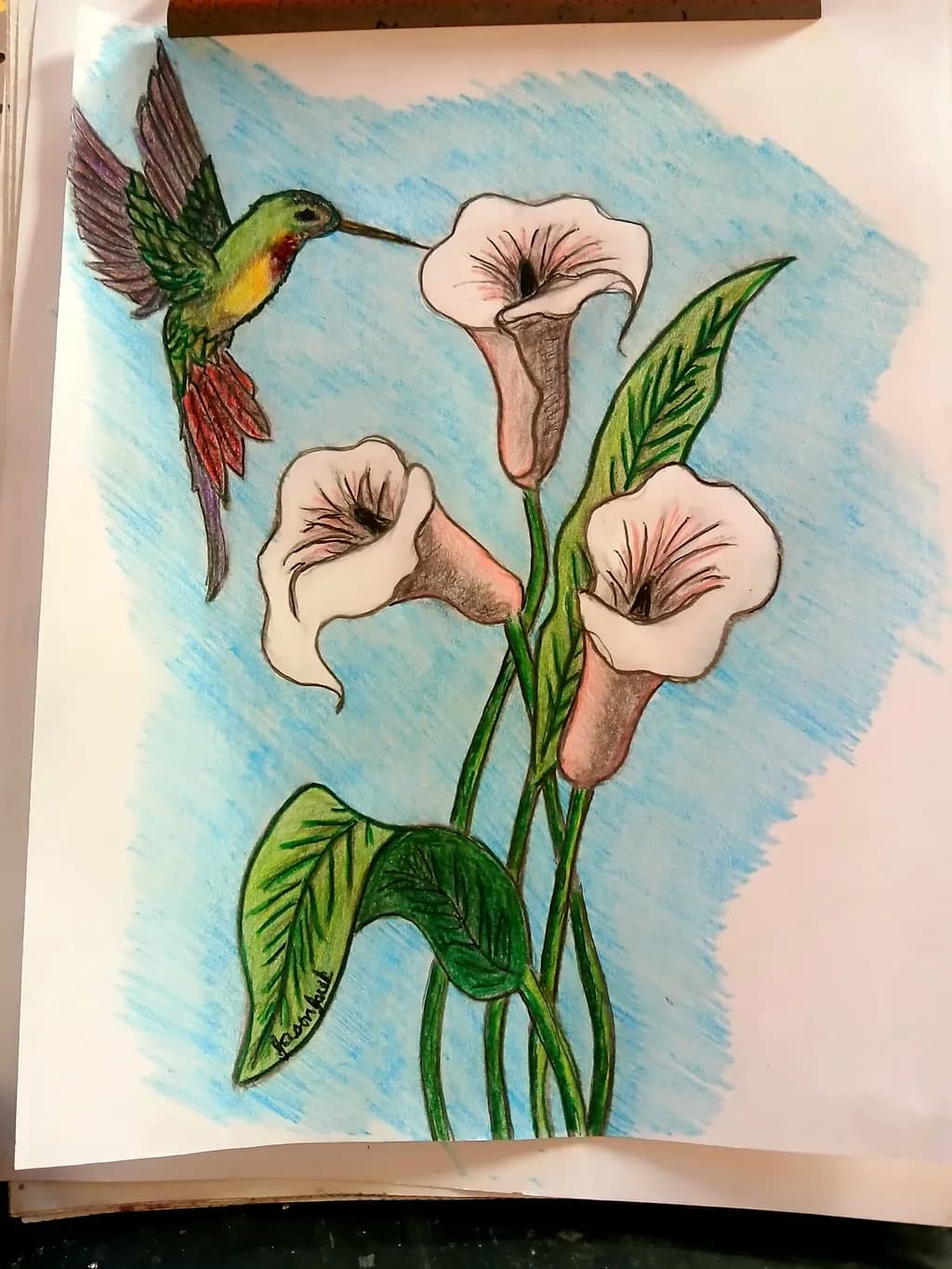 Hummingbird and Calla Lilies