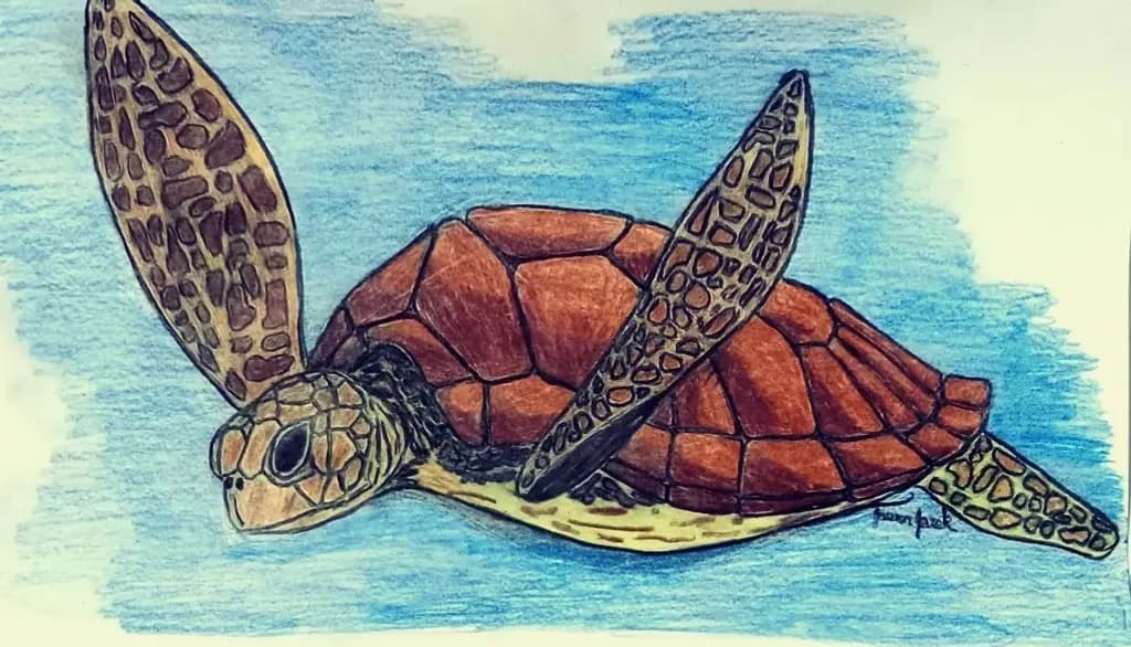 Gliding Turtle