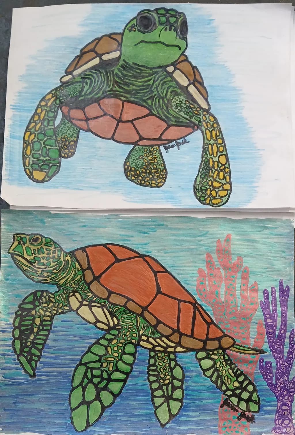 Twin Sea Turtles