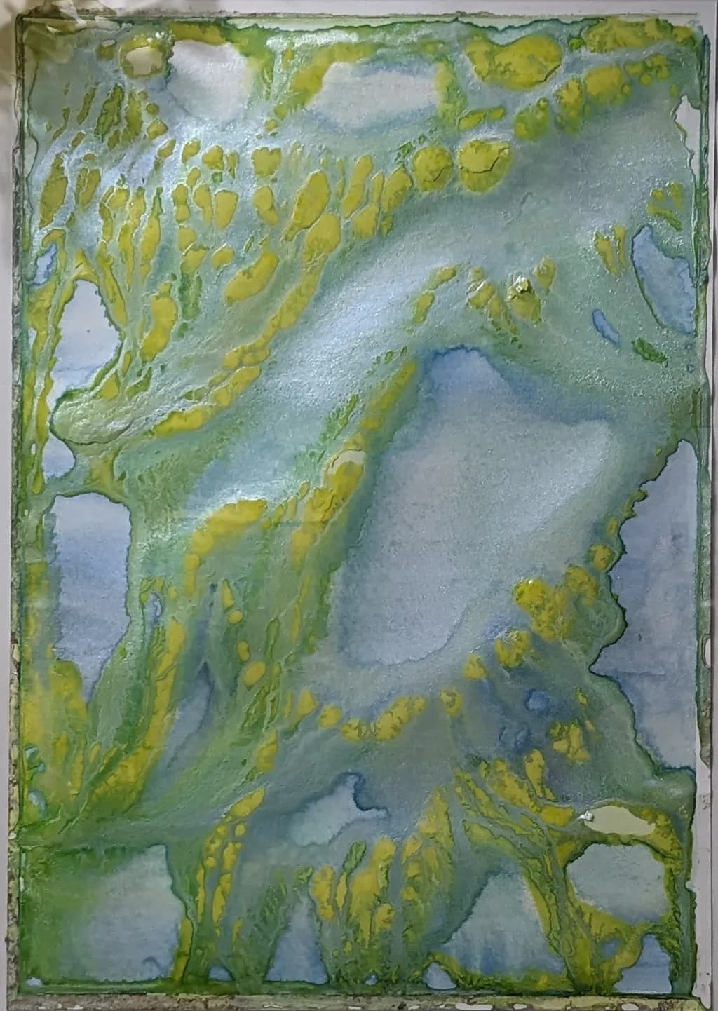 Moss Veins