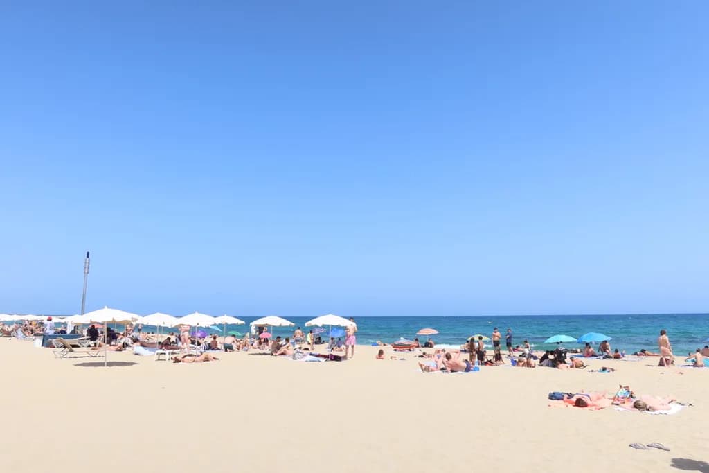 Summer Beachscape