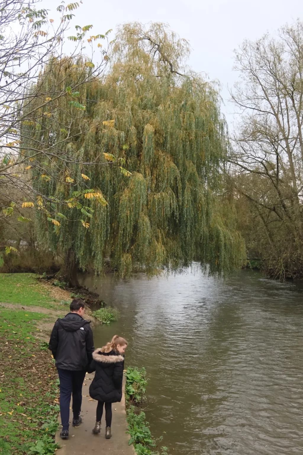 Willow Path