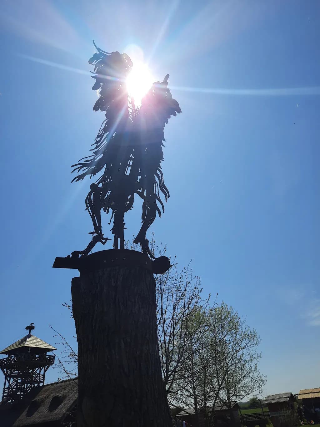 Sunlit Raptor Silhouette