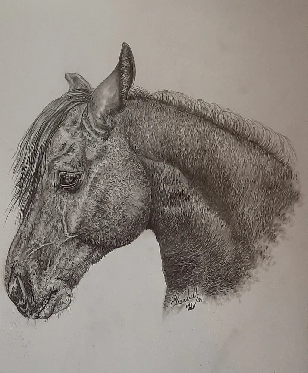 Horse Profile