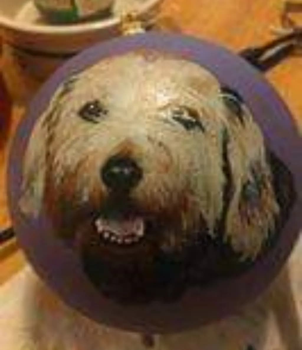 Dog Smile Sphere