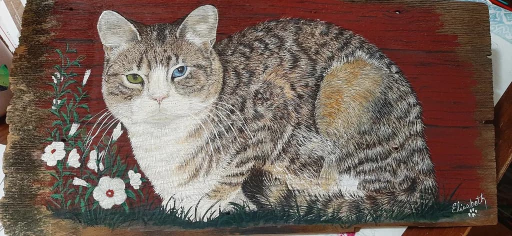 Heterochrome Cat