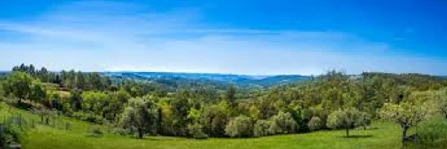 Profilbanner
