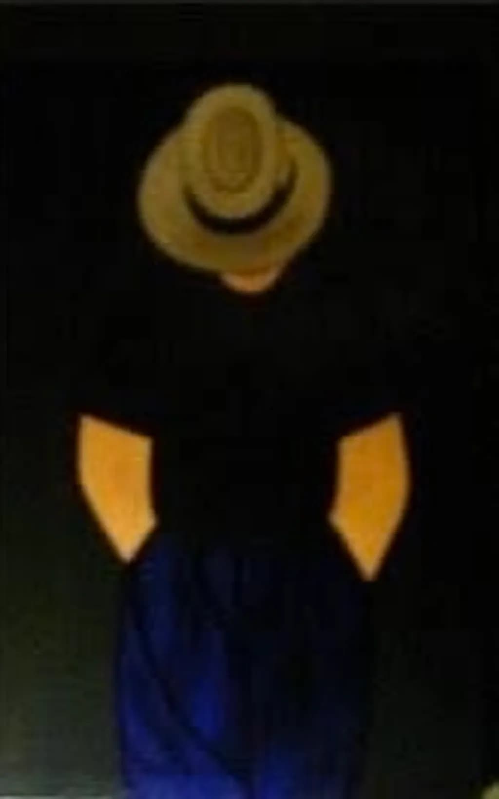 Shadowed Stroll