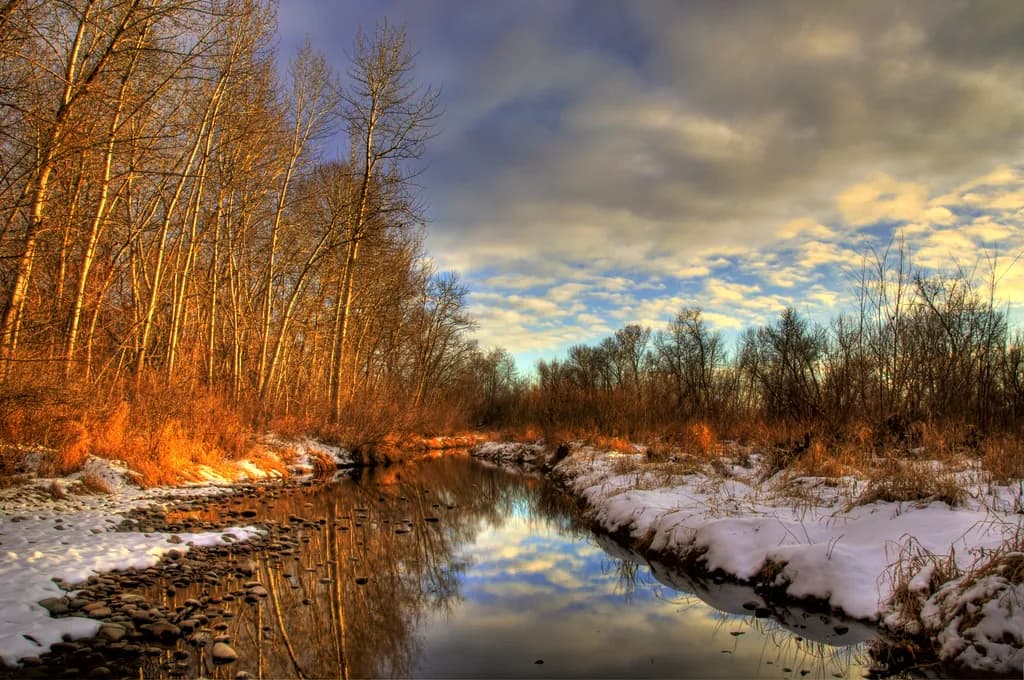 Winter's Edge Reflection