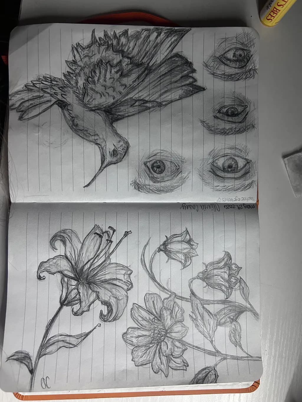 Nature Studies