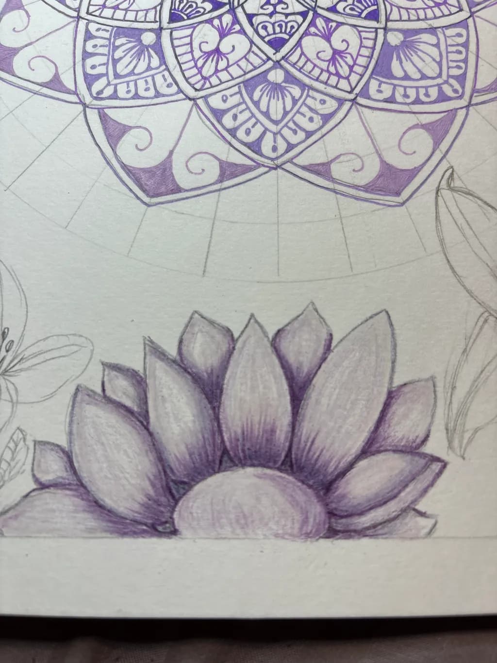 Lilac Lotus Bloom