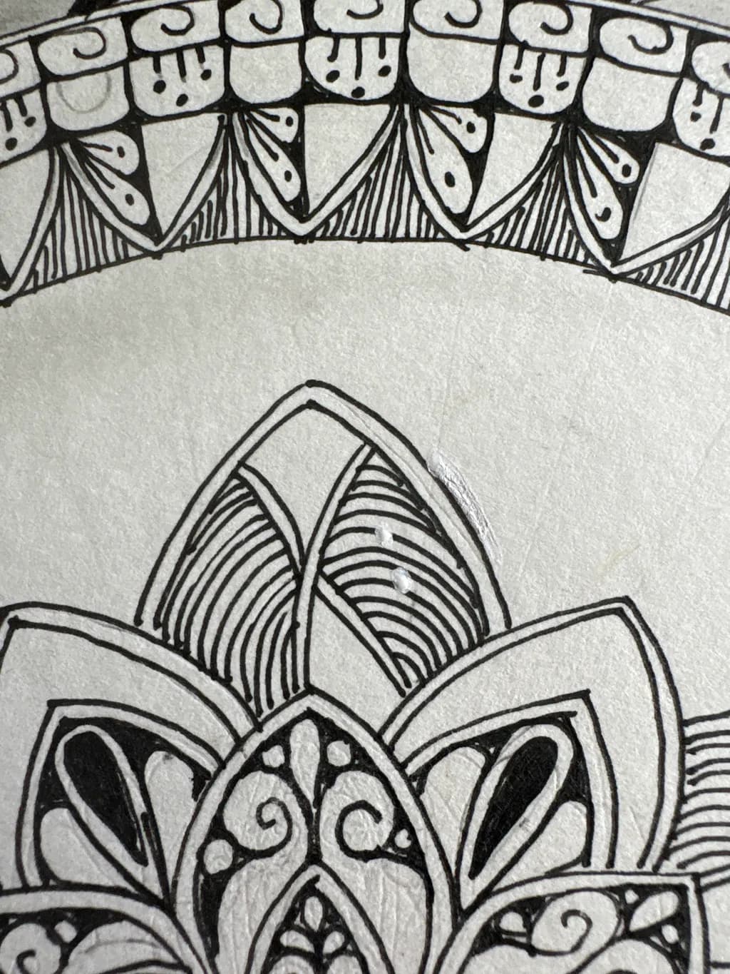Intricate Bloom
