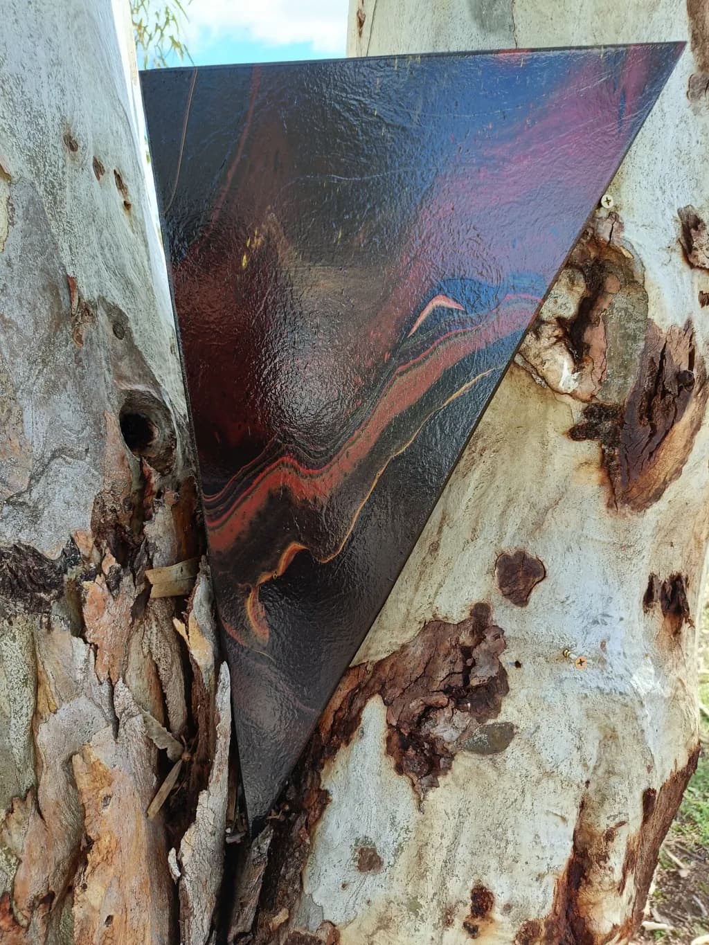 Triangle on Bark Texture