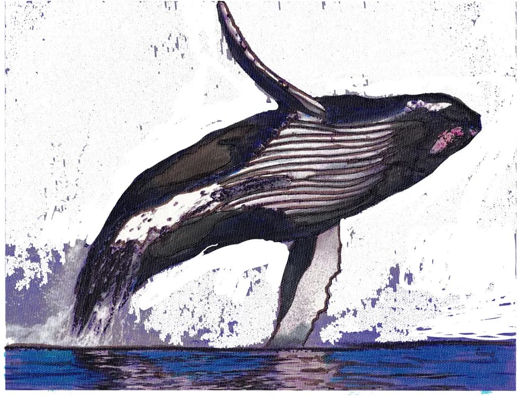 Leaping Whale