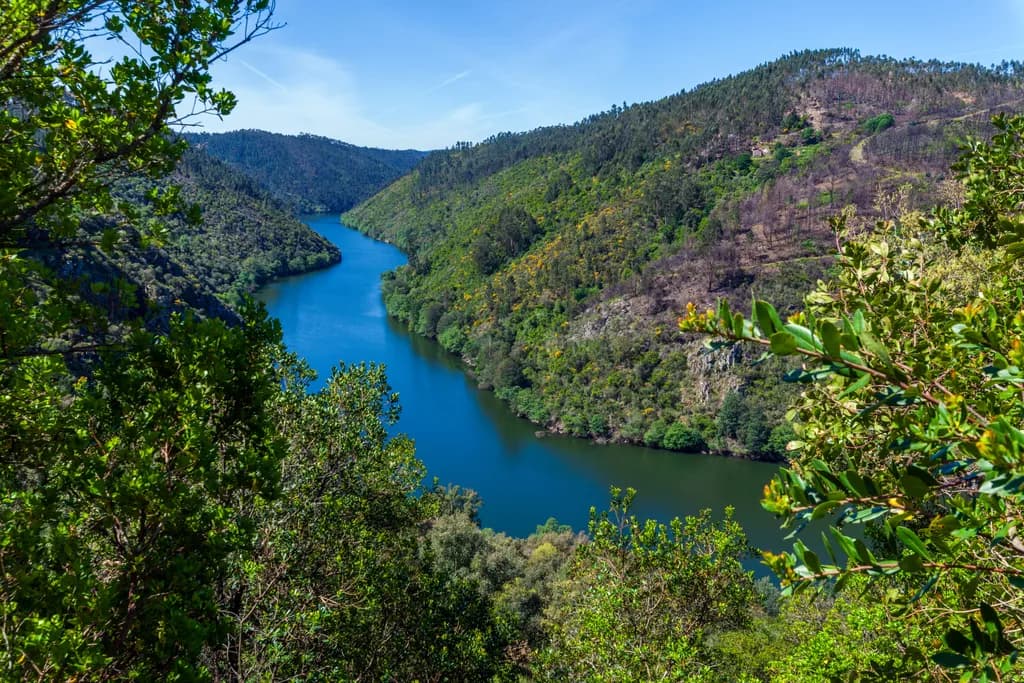 Verdant River Bend