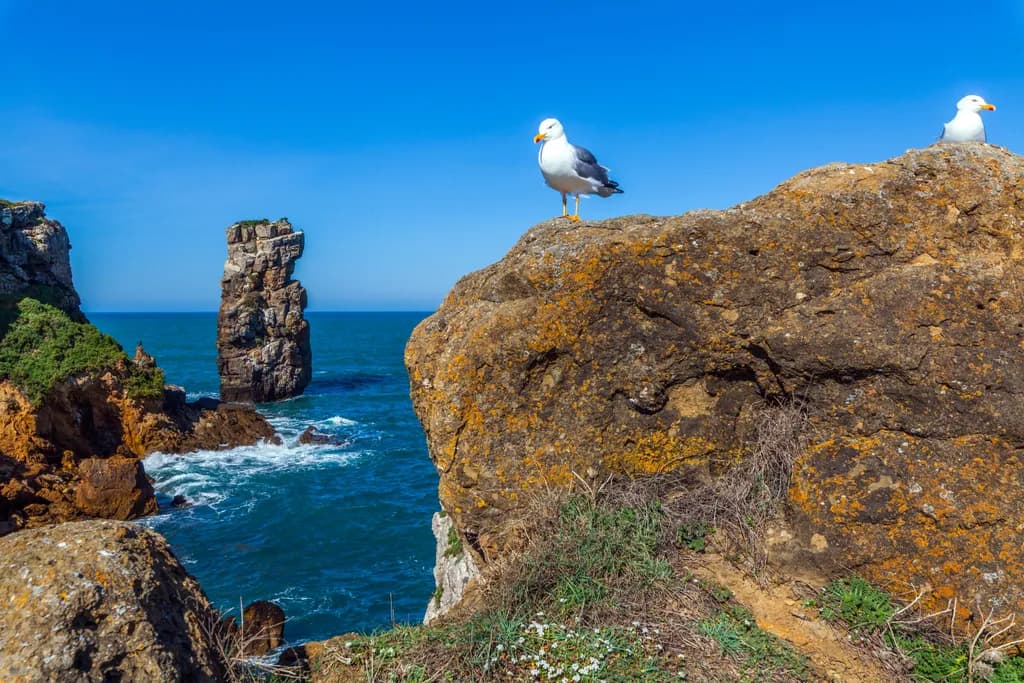 Peniche Coastwatch