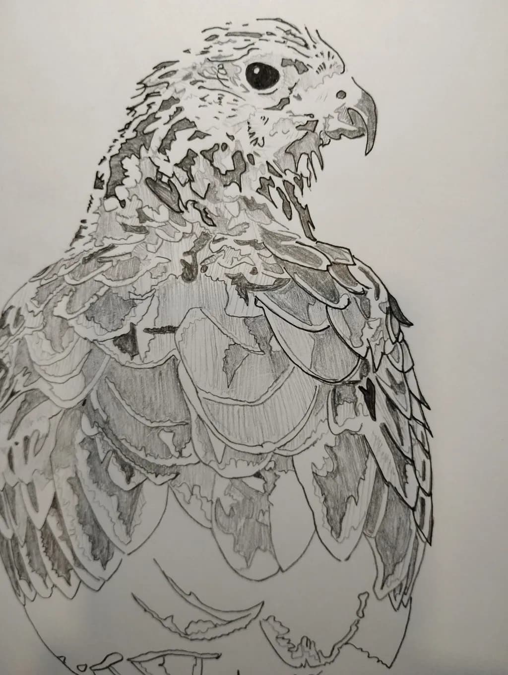 Silent Falcon