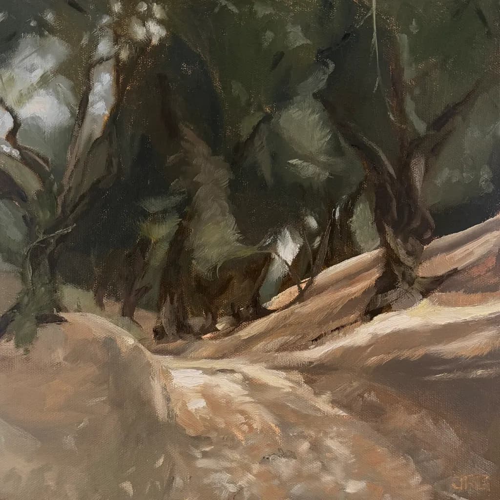 Dappled Forest Path