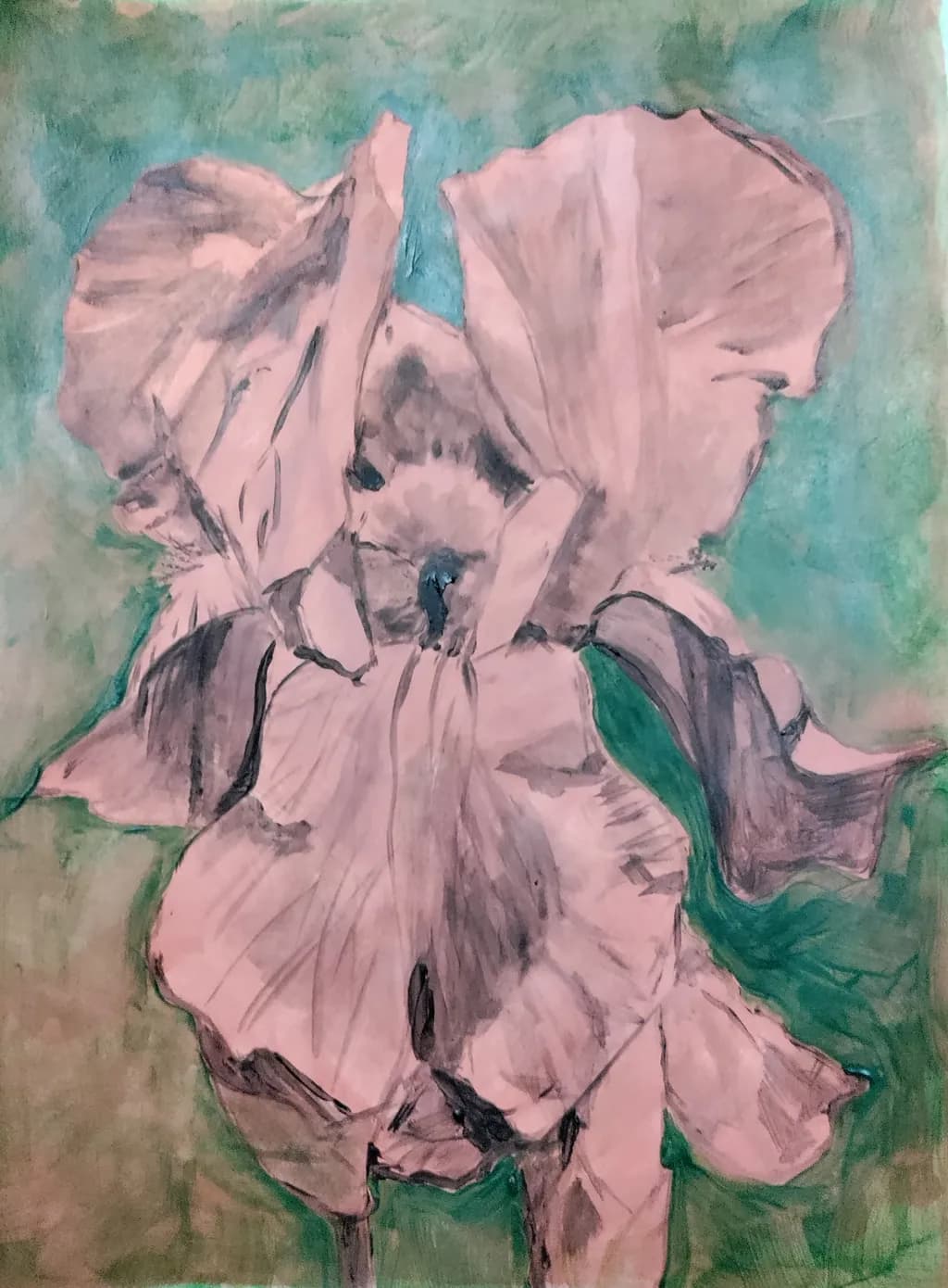Faded Iris