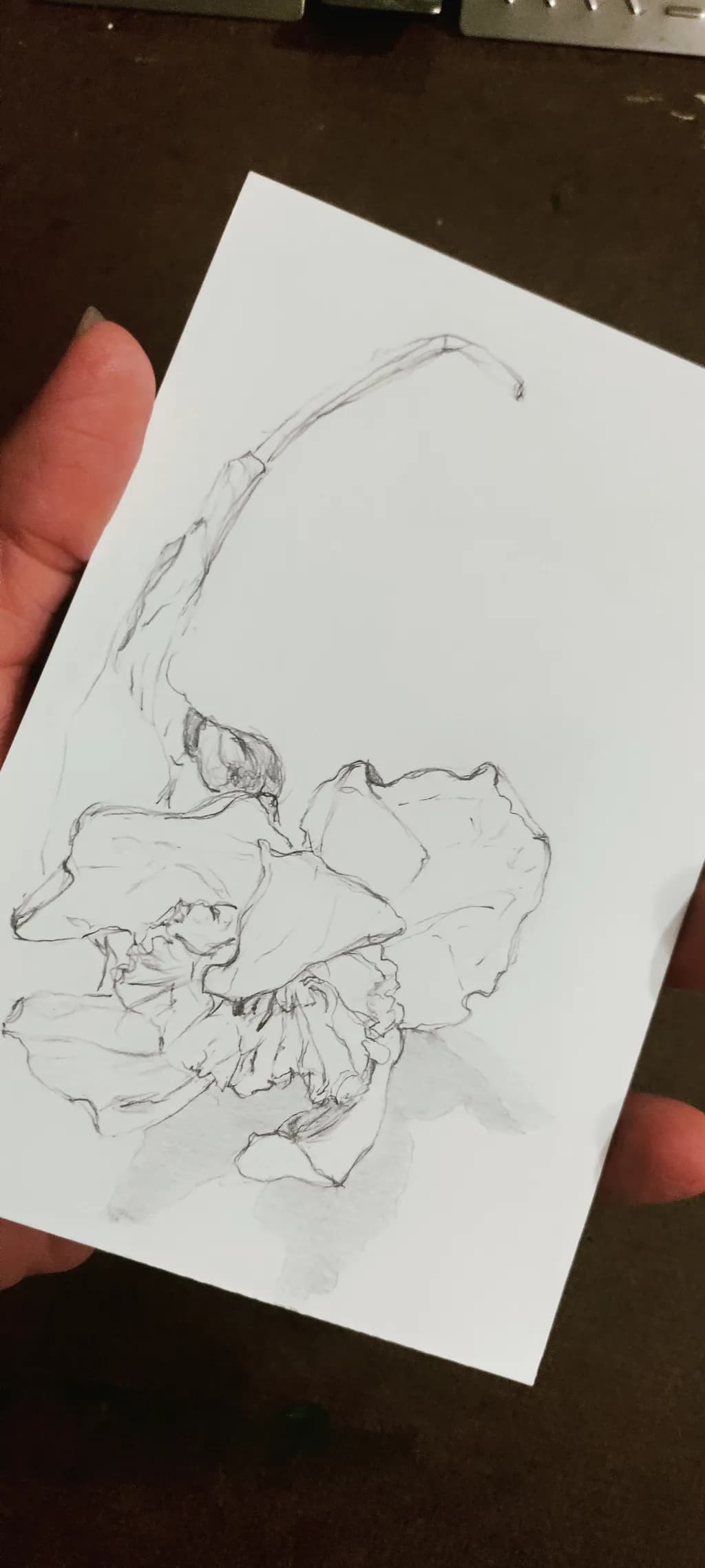 Withered Blossom