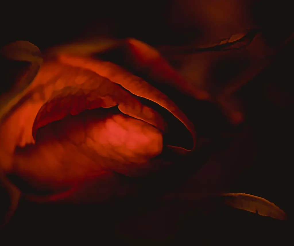 Crimson Veil