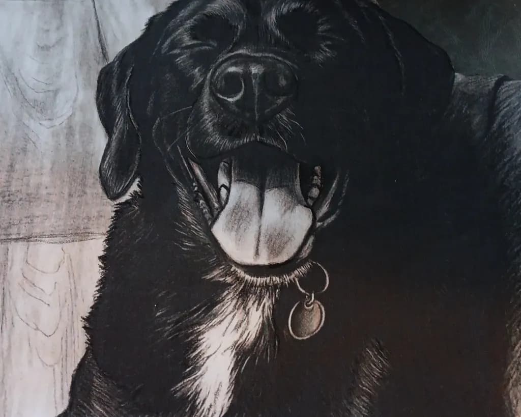 Joyful Companion