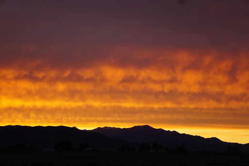 Golden Horizon