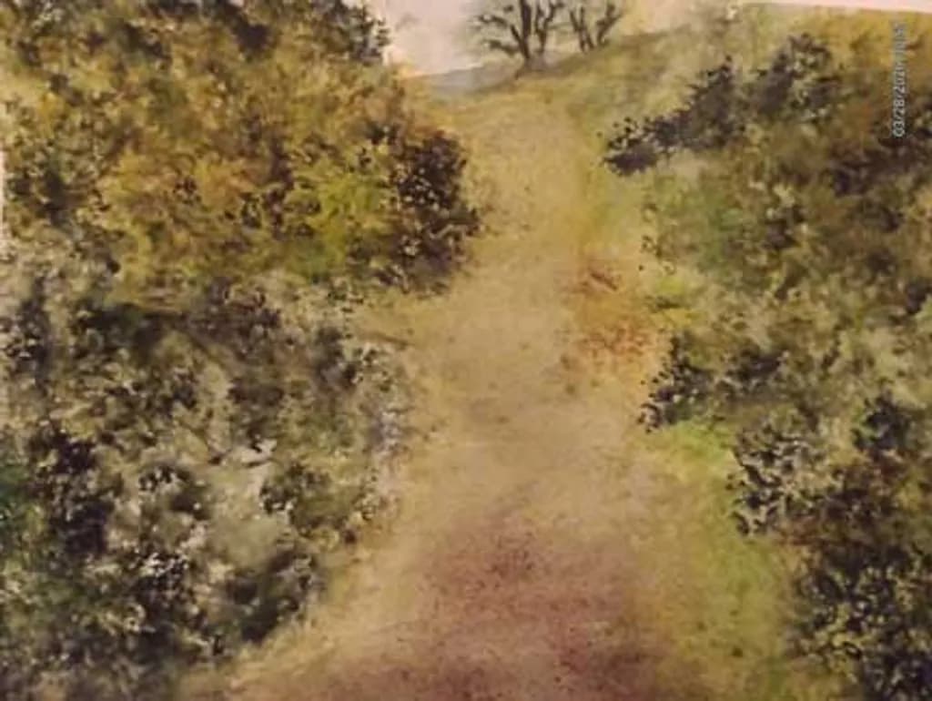 Forest Pathway