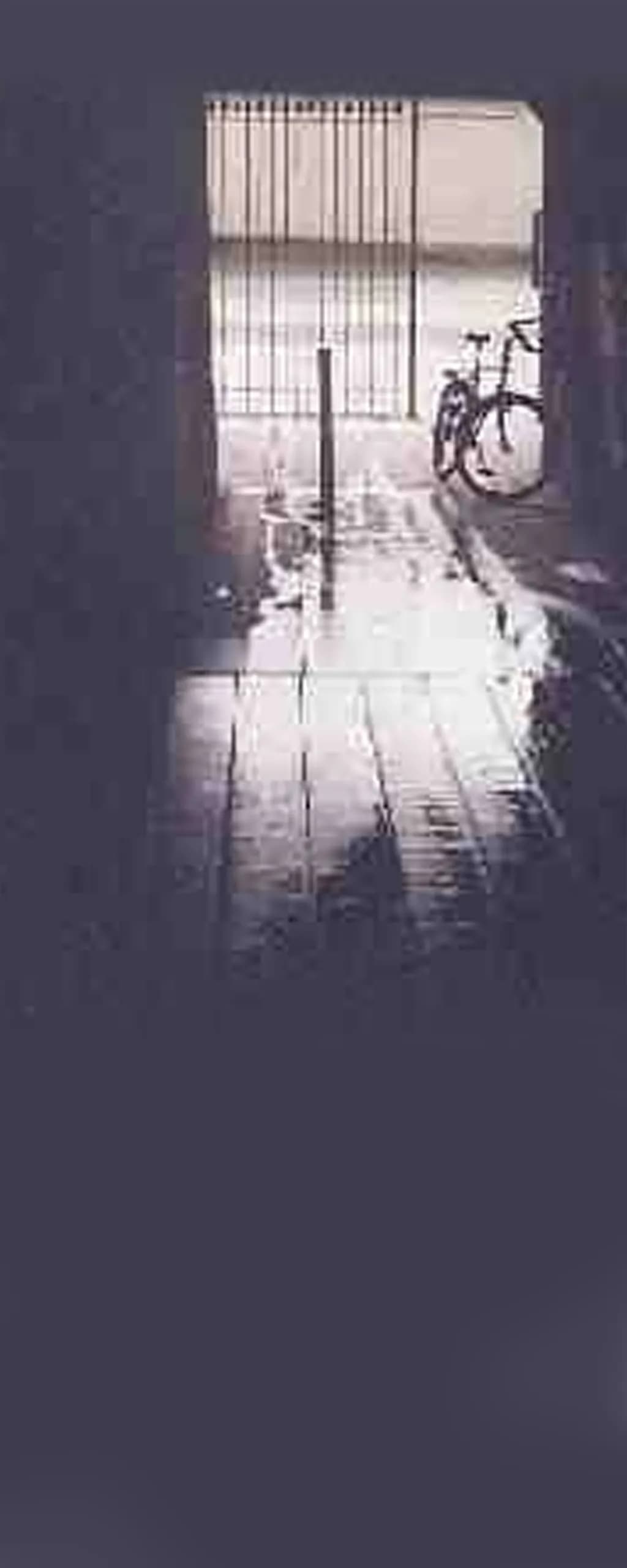 Bergen Shadows