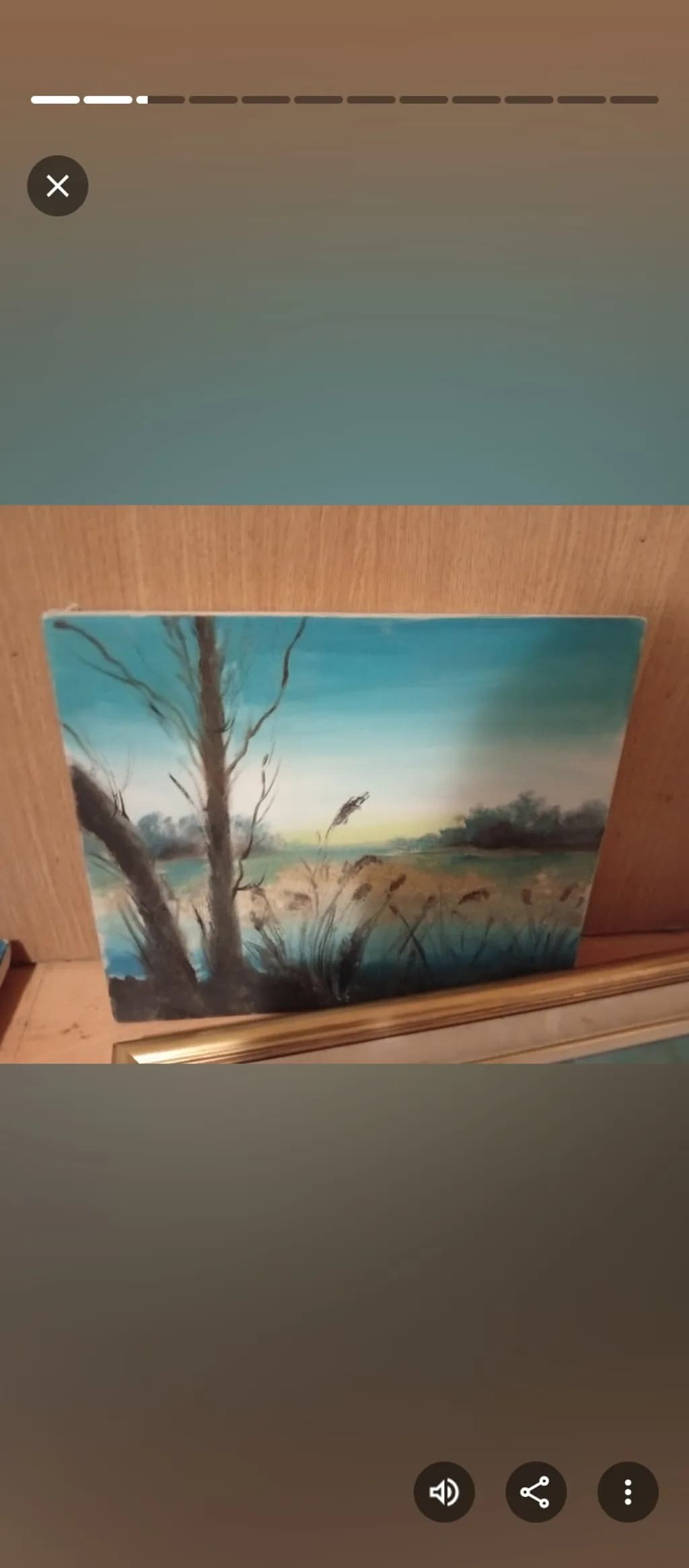 Marshland Twilight
