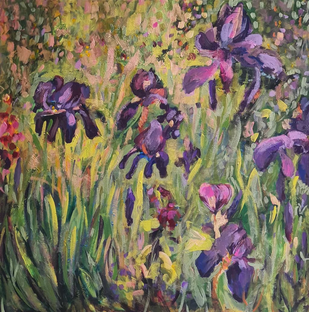 Blooming Irises