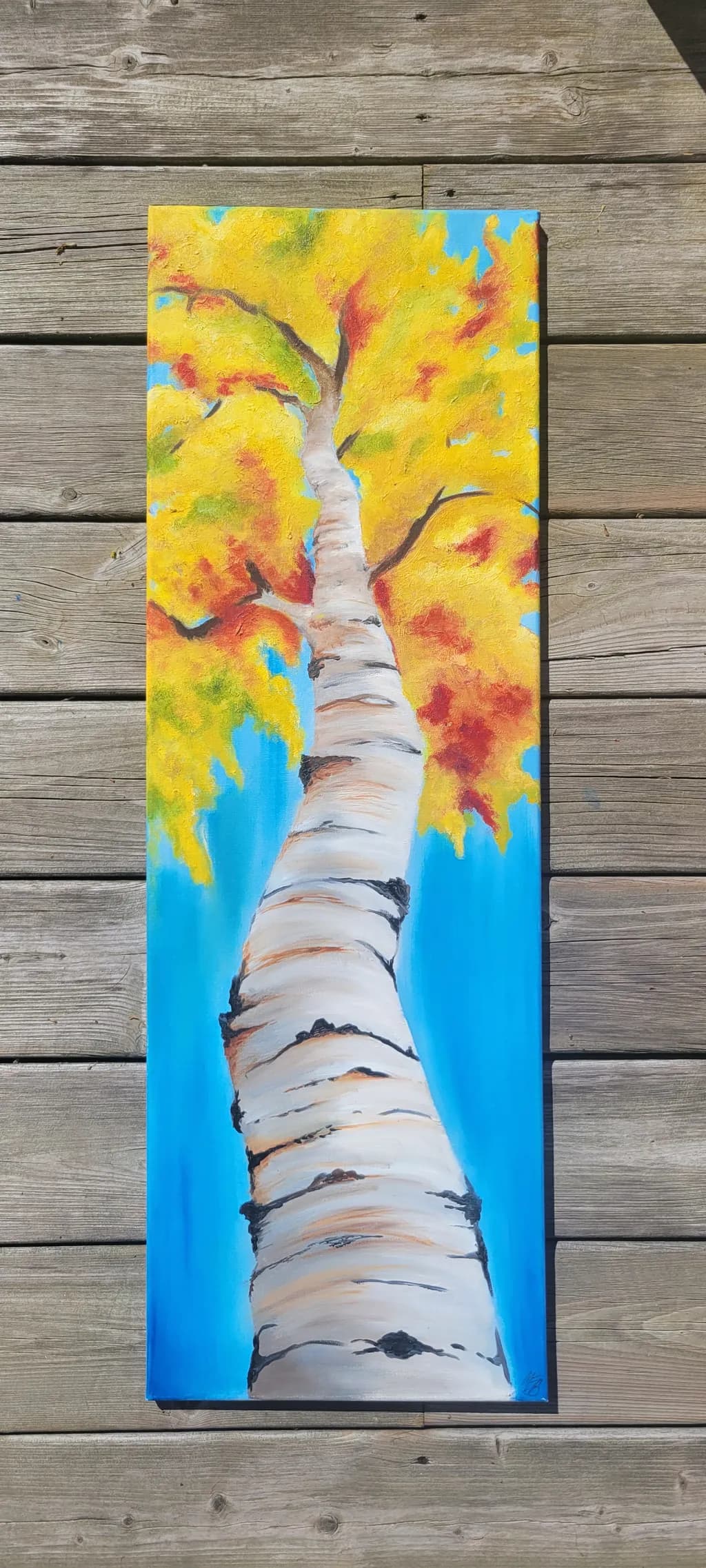 Autumn Canopy
