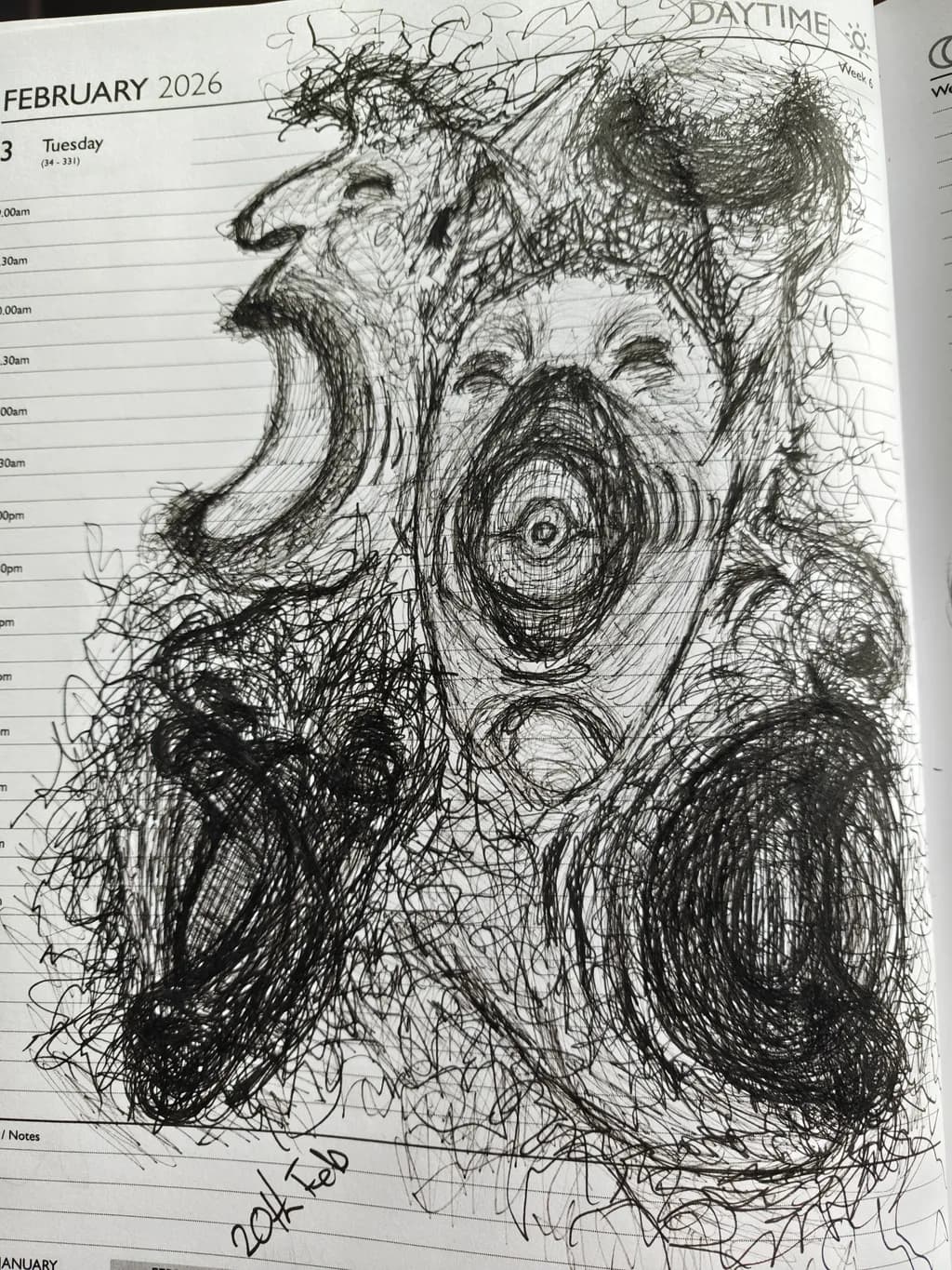 Echoes of Anguish