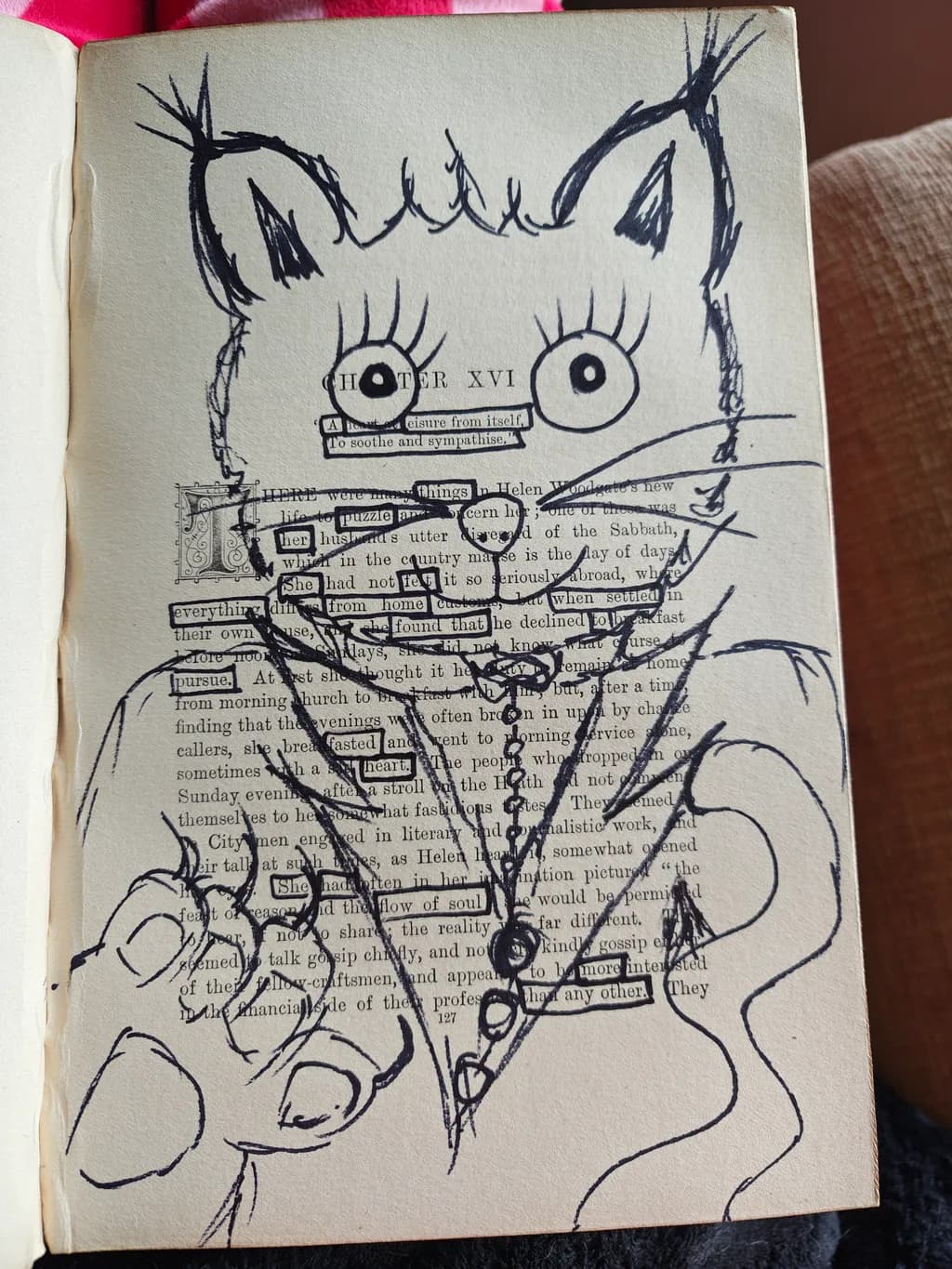 Cat in a Jacket