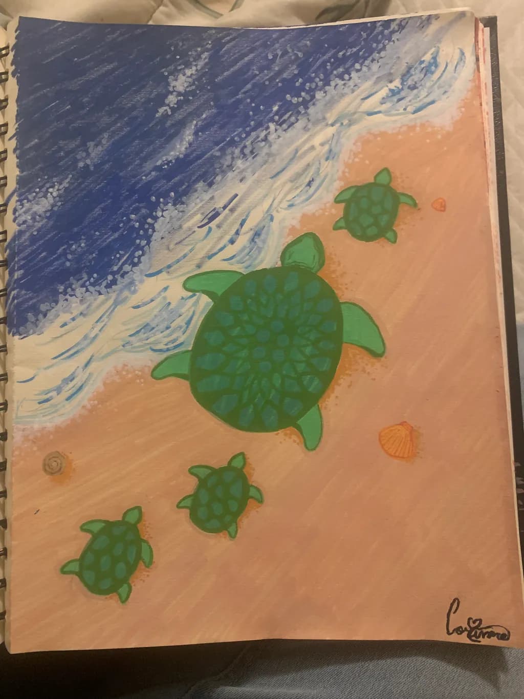 Turtle Tide