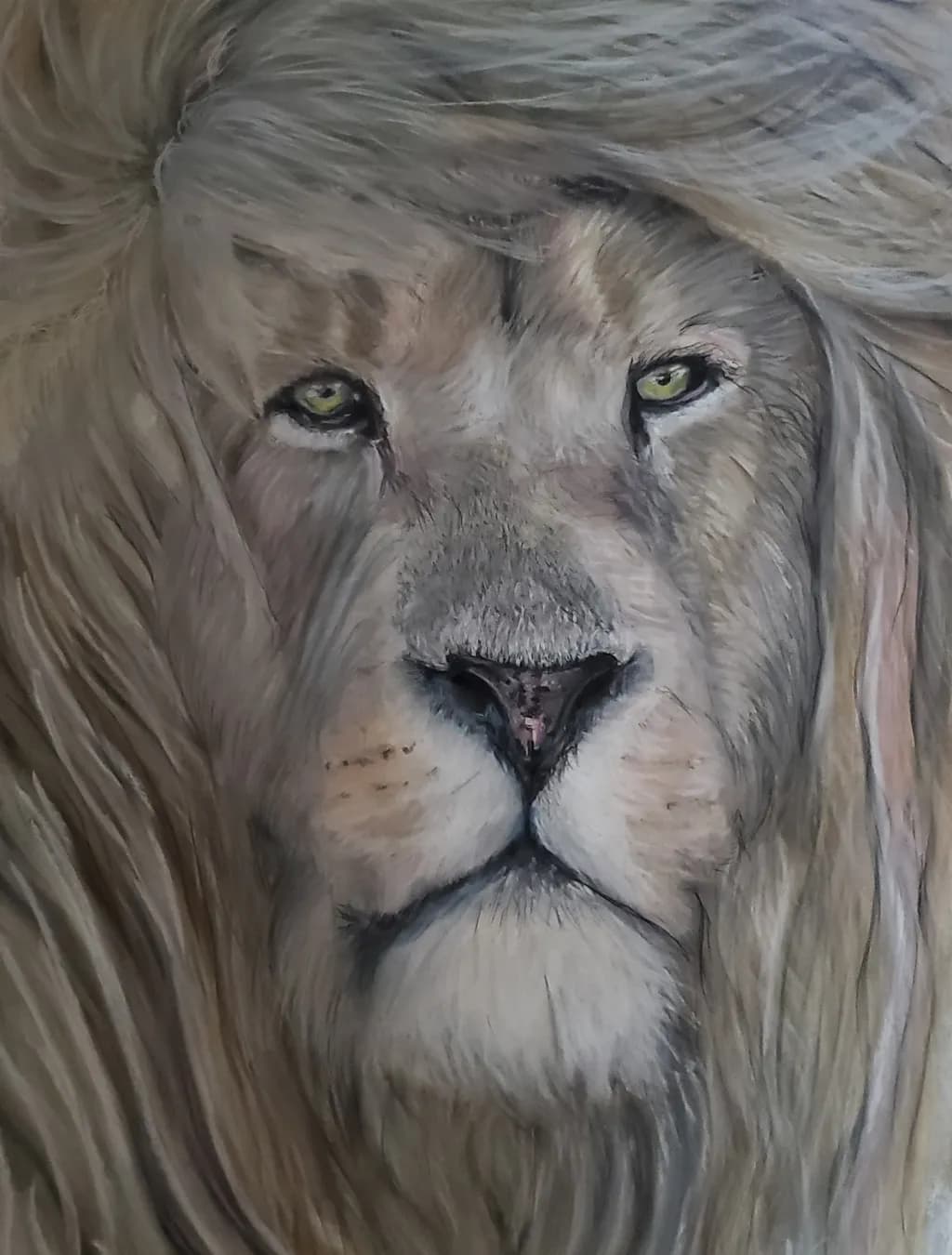 Majestic Gaze