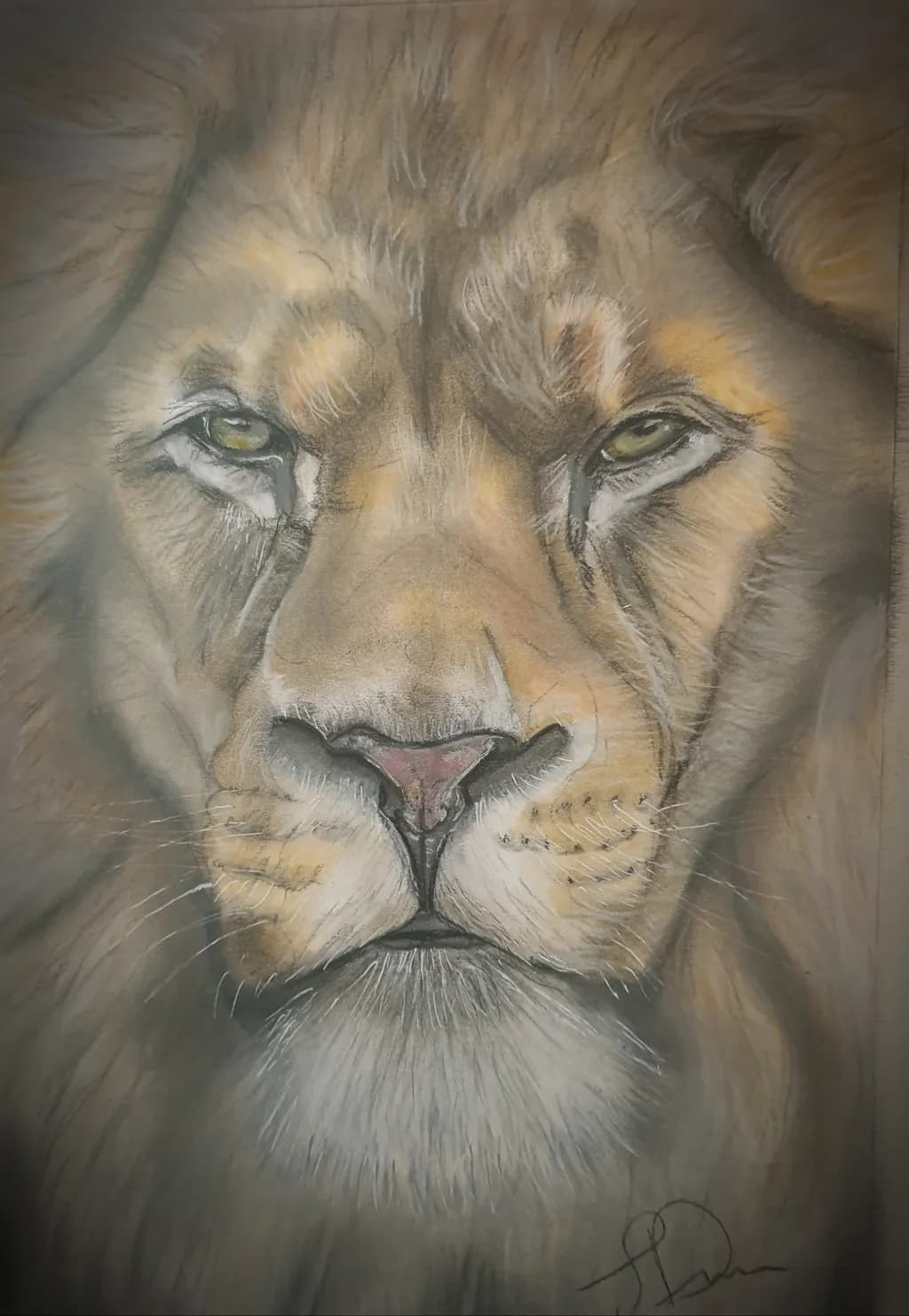 Regal Gaze