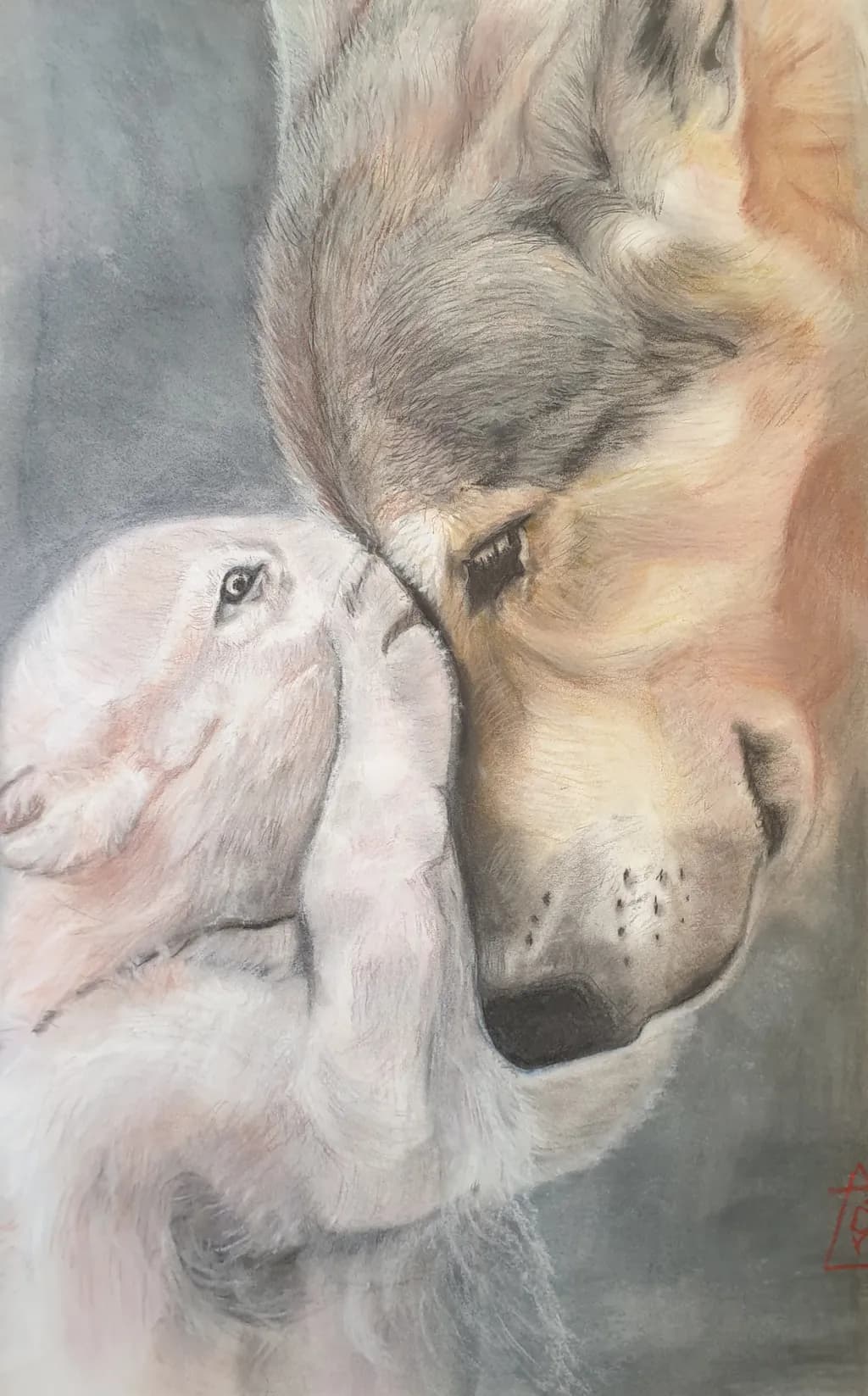 Tender Touch