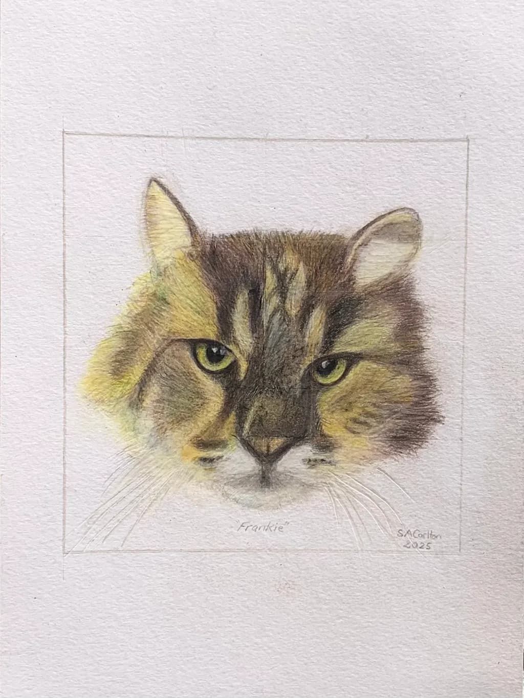 Frankie Portrait