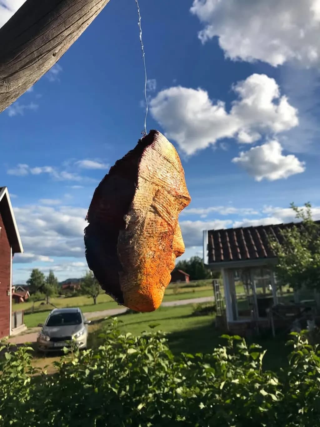 Hanging Essence