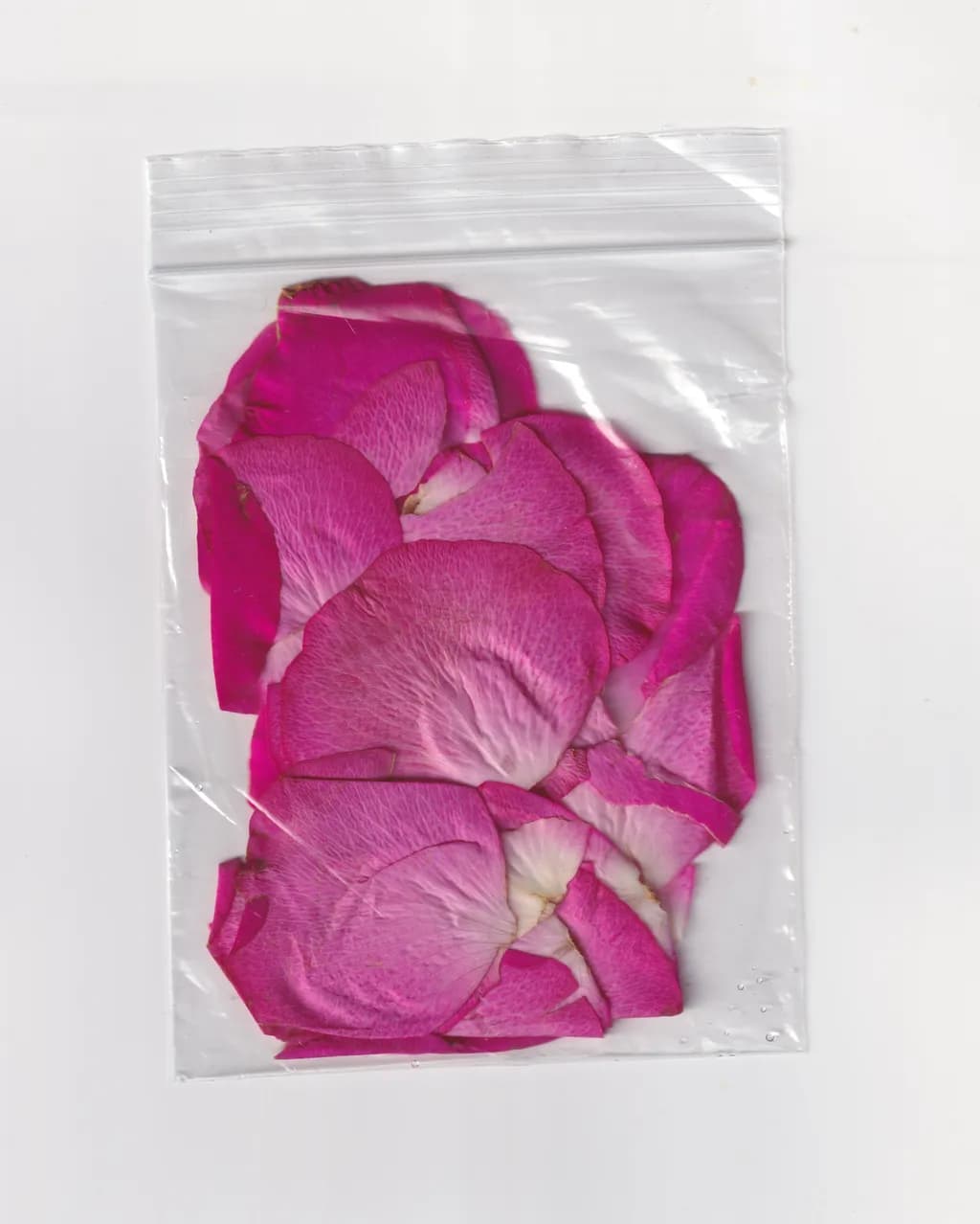 Bag of Rose Petals