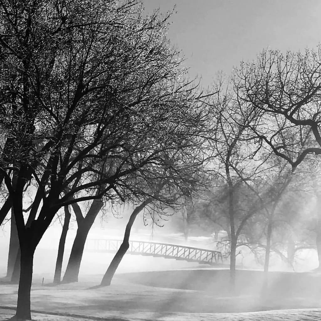 Misty Crossing